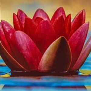 Meet your Posher, Nikki